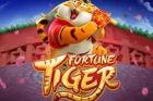 Fortune Tiger